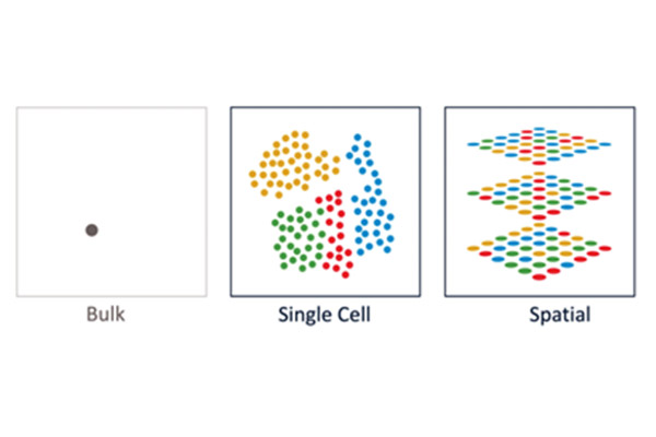 单细胞RNA-seq